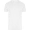 Arctic White